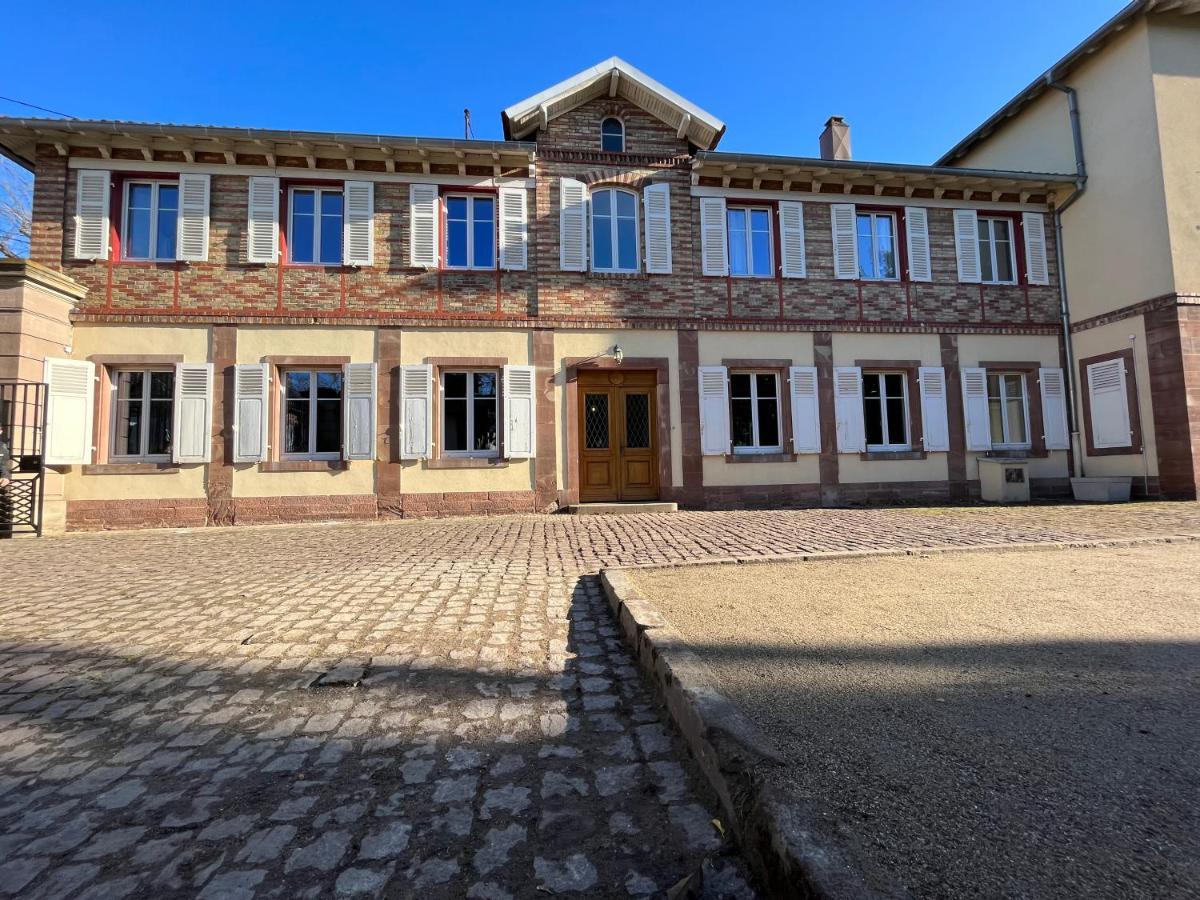 Gite Villa Avril Piscine- Jacuzzi- Sauna - 15 Pers-Proche Europapark سليستا المظهر الخارجي الصورة